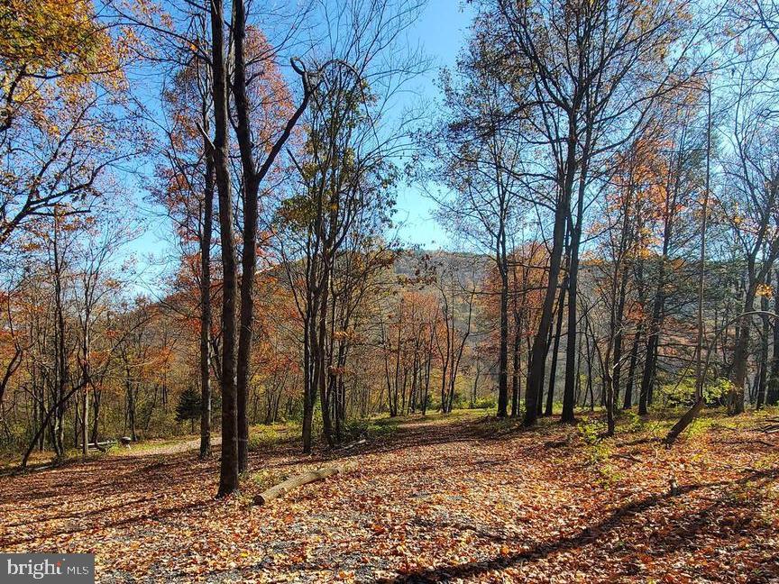 TBD LOT 1 CAPON SPRINGS GRADE, STAR TANNERY, Virginia 22654, ,Land,For sale,TBD LOT 1 CAPON SPRINGS GRADE,VAFV2022610 MLS # VAFV2022610