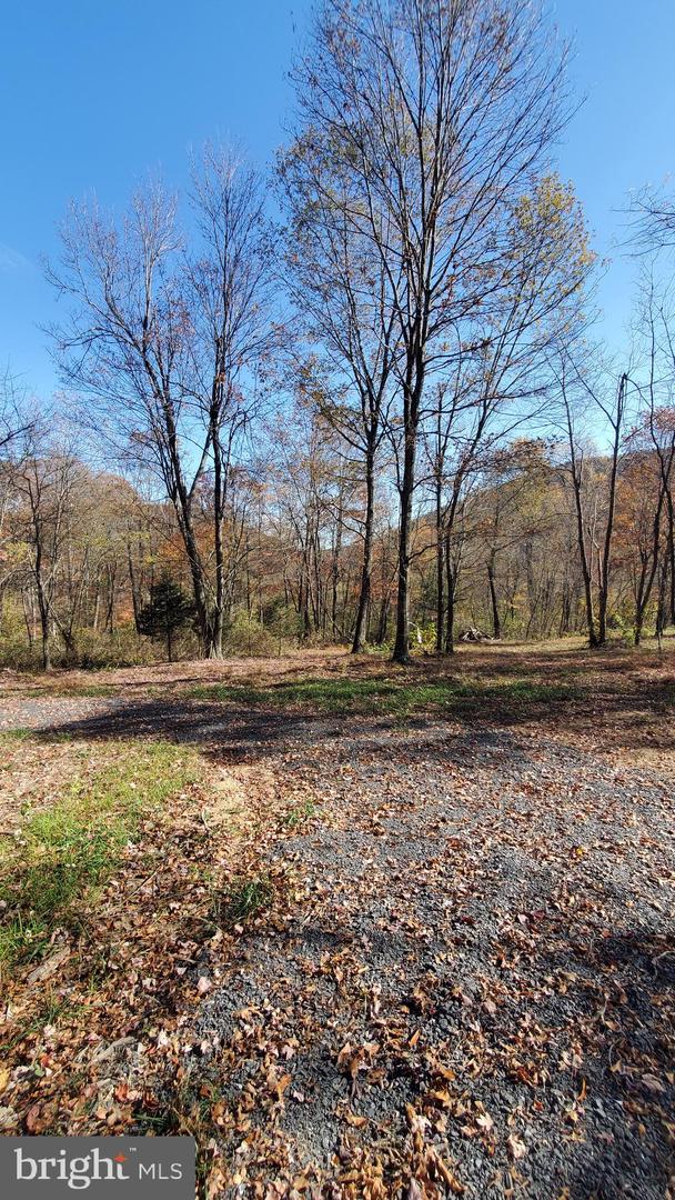 TBD LOT 1 CAPON SPRINGS GRADE, STAR TANNERY, Virginia 22654, ,Land,For sale,TBD LOT 1 CAPON SPRINGS GRADE,VAFV2022610 MLS # VAFV2022610