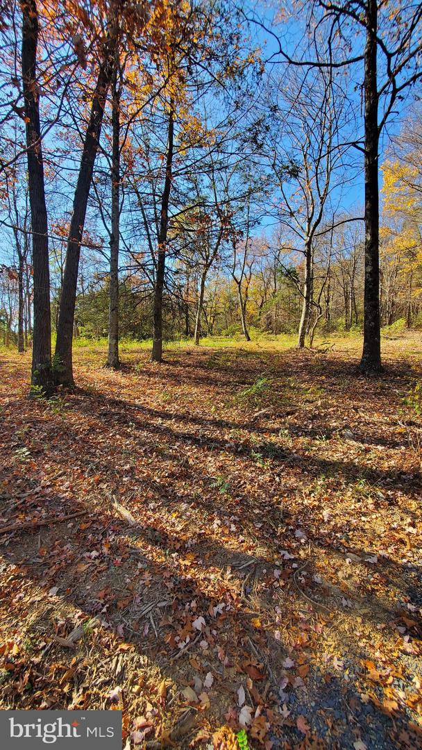 TBD LOT 1 CAPON SPRINGS GRADE, STAR TANNERY, Virginia 22654, ,Land,For sale,TBD LOT 1 CAPON SPRINGS GRADE,VAFV2022610 MLS # VAFV2022610