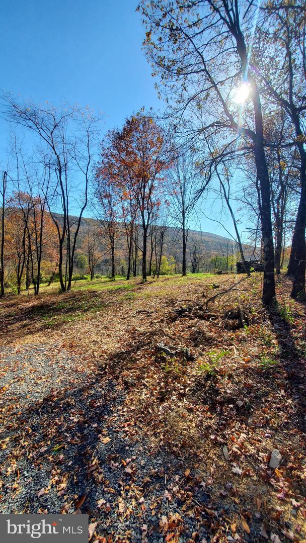 TBD LOT 1 CAPON SPRINGS GRADE, STAR TANNERY, Virginia 22654, ,Land,For sale,TBD LOT 1 CAPON SPRINGS GRADE,VAFV2022610 MLS # VAFV2022610