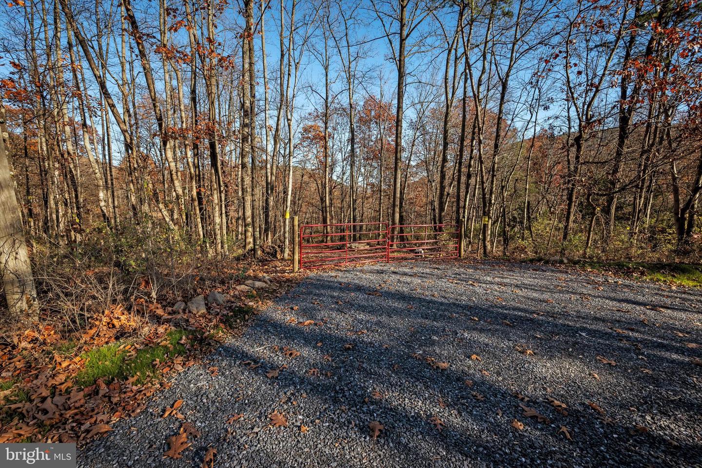 TBD LOT 1 CAPON SPRINGS GRADE, STAR TANNERY, Virginia 22654, ,Land,For sale,TBD LOT 1 CAPON SPRINGS GRADE,VAFV2022610 MLS # VAFV2022610