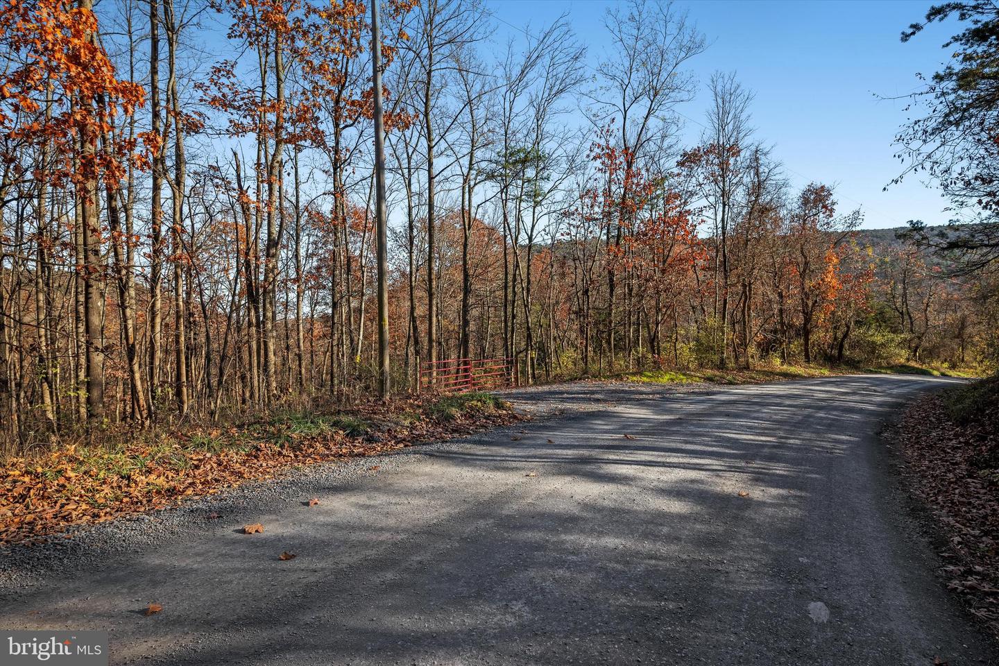 TBD LOT 1 CAPON SPRINGS GRADE, STAR TANNERY, Virginia 22654, ,Land,For sale,TBD LOT 1 CAPON SPRINGS GRADE,VAFV2022610 MLS # VAFV2022610