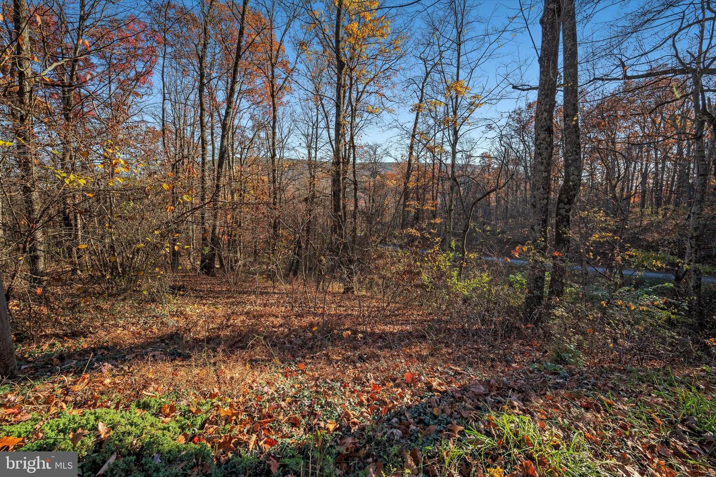 TBD LOT 1 CAPON SPRINGS GRADE, STAR TANNERY, Virginia 22654, ,Land,For sale,TBD LOT 1 CAPON SPRINGS GRADE,VAFV2022610 MLS # VAFV2022610