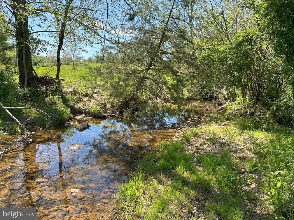 0 DODSON RD, LYNCHBURG, Virginia 24502, ,Farm,For sale,0 DODSON RD,VACP2000046 MLS # VACP2000046