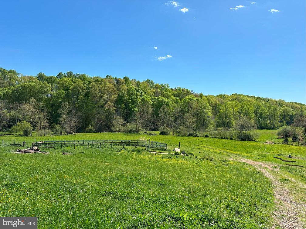 0 DODSON RD, LYNCHBURG, Virginia 24502, ,Farm,For sale,0 DODSON RD,VACP2000046 MLS # VACP2000046