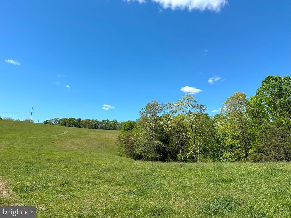 0 DODSON RD, LYNCHBURG, Virginia 24502, ,Farm,For sale,0 DODSON RD,VACP2000046 MLS # VACP2000046