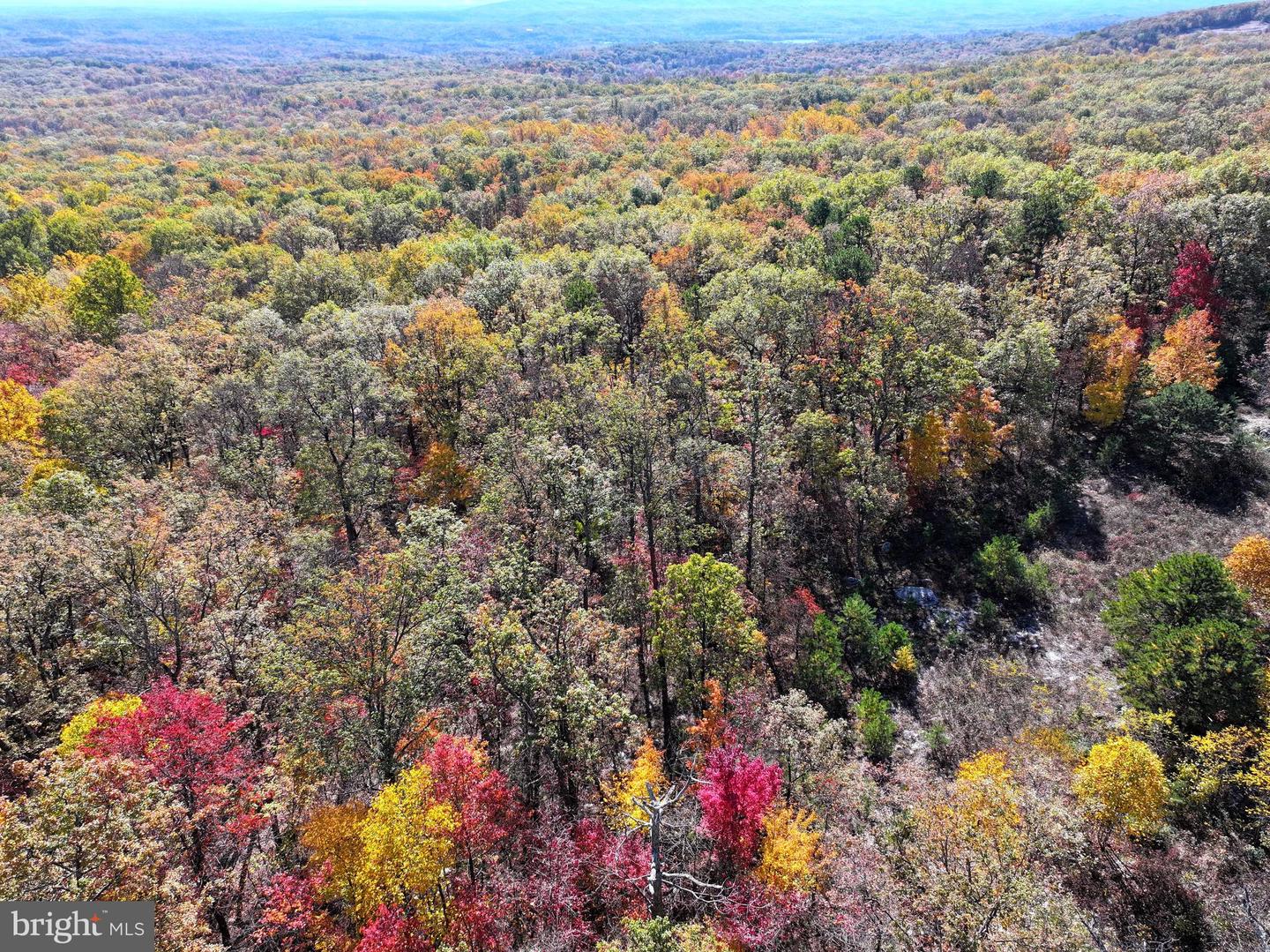 TBD REMINGTON DRIVE, WINCHESTER, Virginia 22603, ,Land,For sale,TBD REMINGTON DRIVE,VAFV2022532 MLS # VAFV2022532