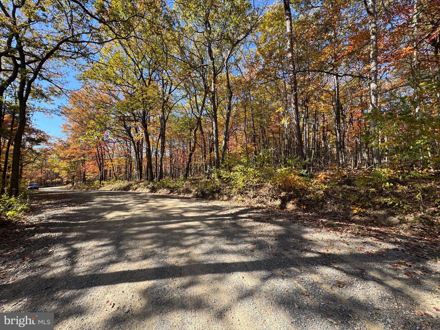 TBD REMINGTON DRIVE, WINCHESTER, Virginia 22603, ,Land,For sale,TBD REMINGTON DRIVE,VAFV2022532 MLS # VAFV2022532