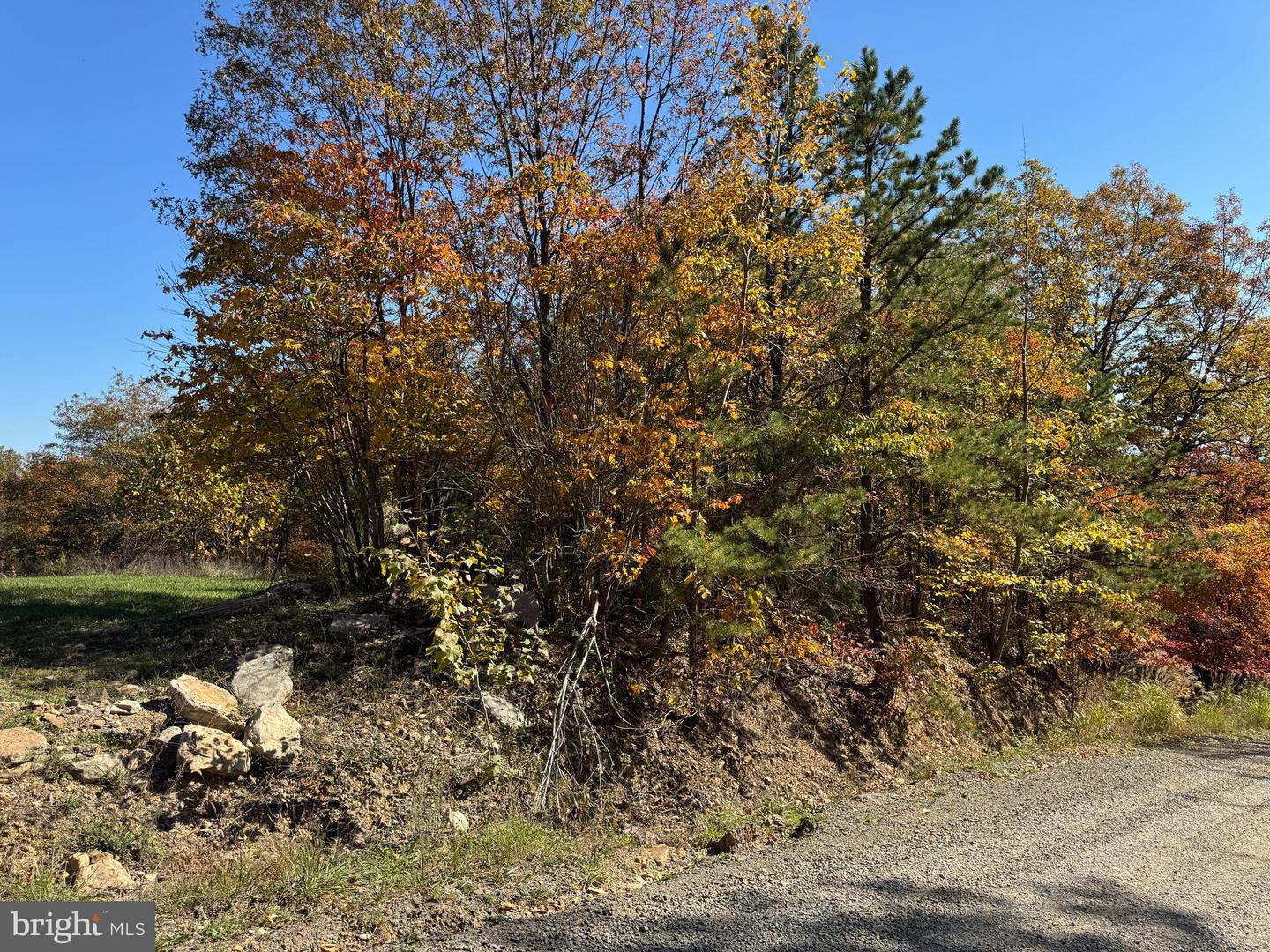 TBD REMINGTON DRIVE, WINCHESTER, Virginia 22603, ,Land,For sale,TBD REMINGTON DRIVE,VAFV2022532 MLS # VAFV2022532