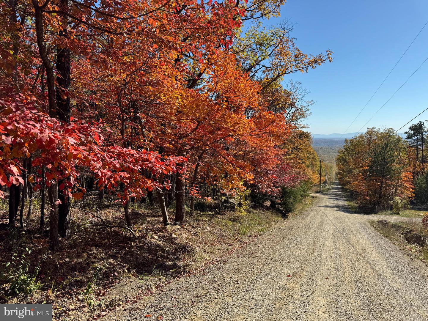 TBD REMINGTON DRIVE, WINCHESTER, Virginia 22603, ,Land,For sale,TBD REMINGTON DRIVE,VAFV2022532 MLS # VAFV2022532