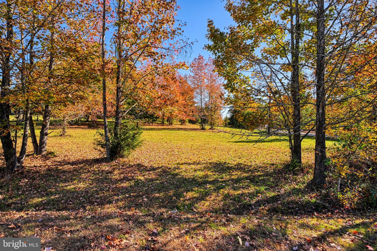 LOT 104 ANNA COVES BLVD, MINERAL, Virginia 23117, ,Land,For sale,LOT 104 ANNA COVES BLVD,VALA2006788 MLS # VALA2006788