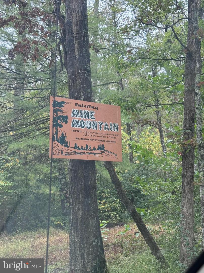 MINE MOUNTAIN LN #LOT #16, FORT VALLEY, Virginia 22652, ,Land,For sale,MINE MOUNTAIN LN #LOT #16,VASH2010014 MLS # VASH2010014