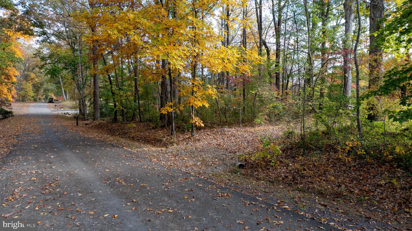 LOT 53 MOUNTAIN VW, MINERAL, Virginia 23117, ,Land,For sale,LOT 53 MOUNTAIN VW,VALA2006794 MLS # VALA2006794