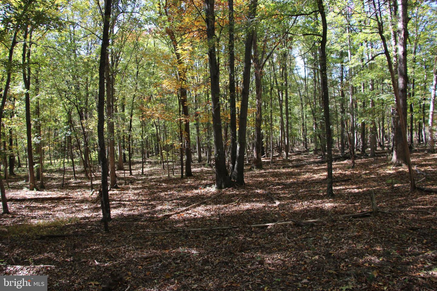 SADLICK LOT I RD, STRASBURG, Virginia 22657, ,Land,For sale,SADLICK LOT I RD,VAWR2009538 MLS # VAWR2009538