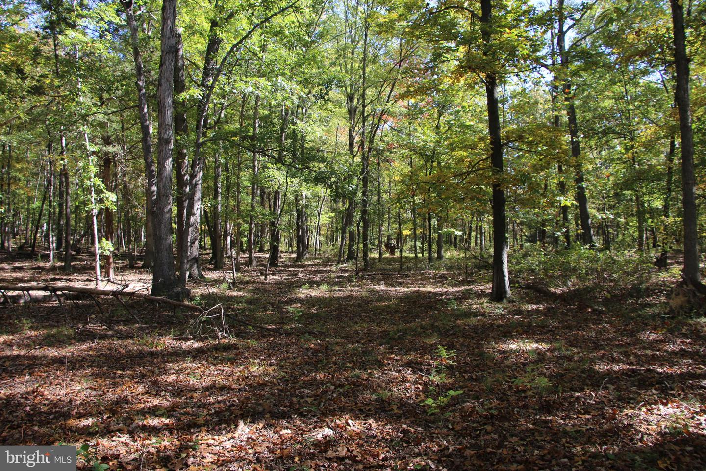 SADLICK LOT I RD, STRASBURG, Virginia 22657, ,Land,For sale,SADLICK LOT I RD,VAWR2009538 MLS # VAWR2009538