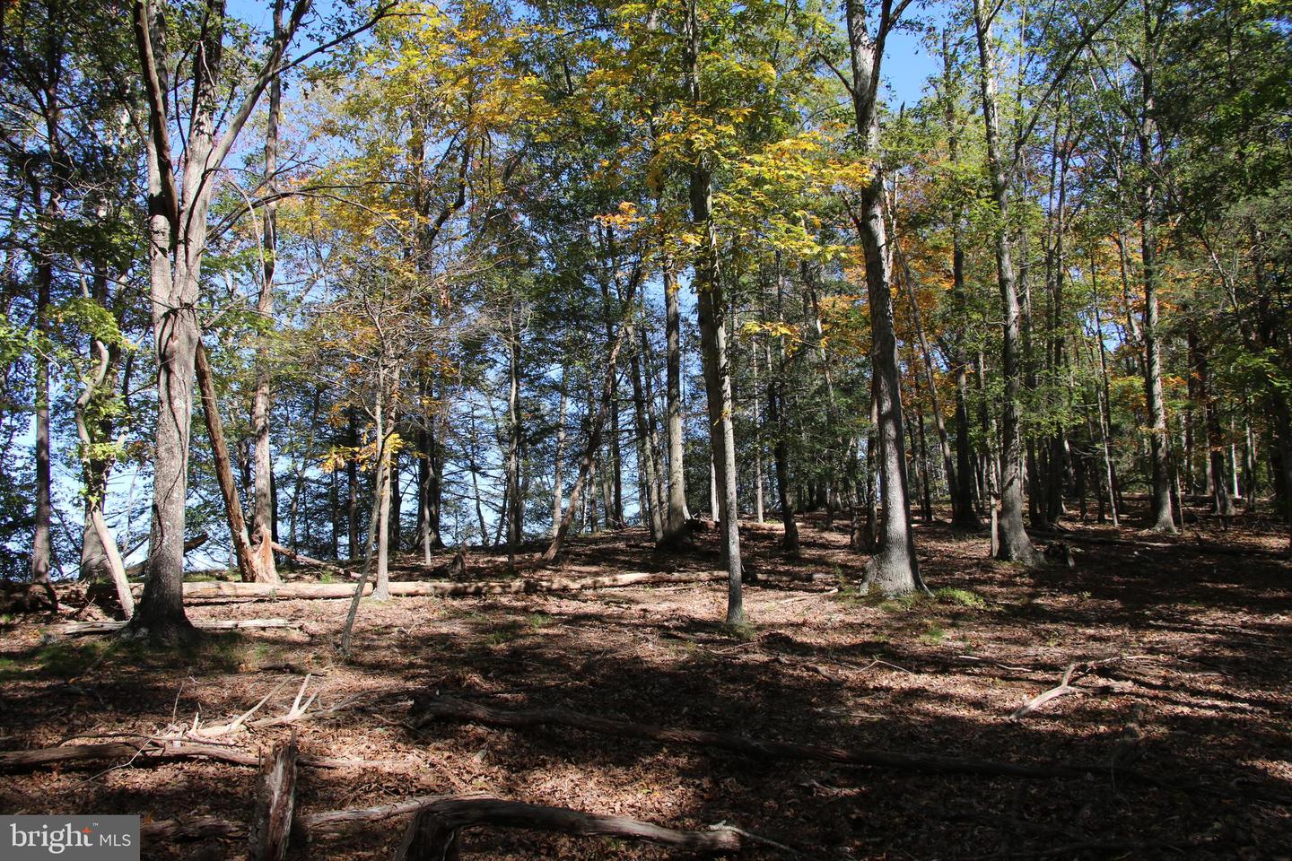 SADLICK LOT I RD, STRASBURG, Virginia 22657, ,Land,For sale,SADLICK LOT I RD,VAWR2009538 MLS # VAWR2009538