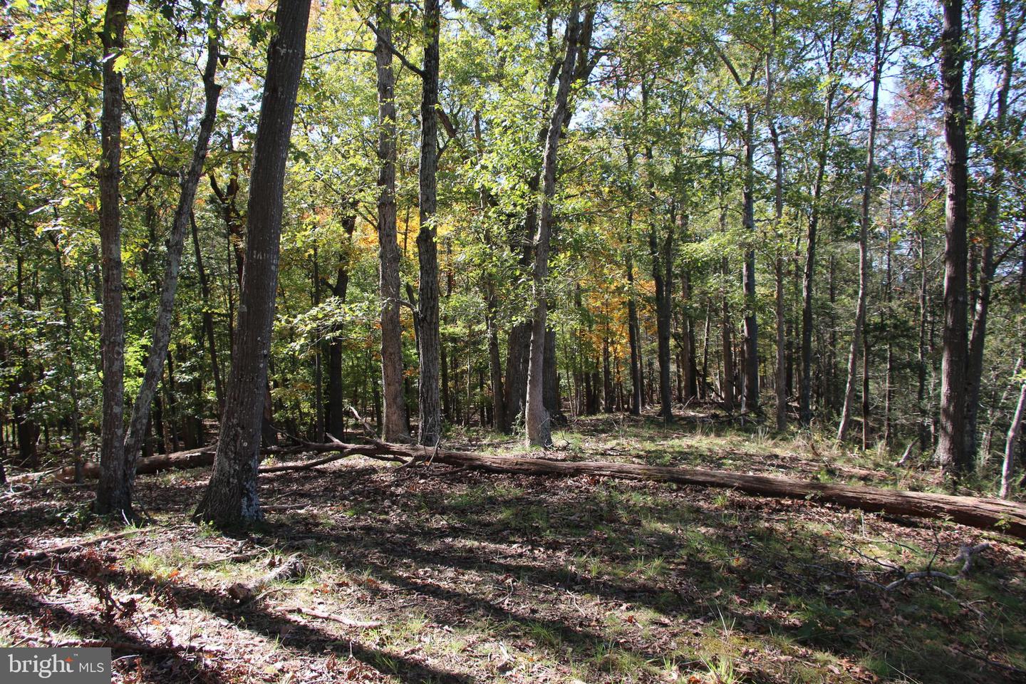 SADLICK LOT I RD, STRASBURG, Virginia 22657, ,Land,For sale,SADLICK LOT I RD,VAWR2009538 MLS # VAWR2009538