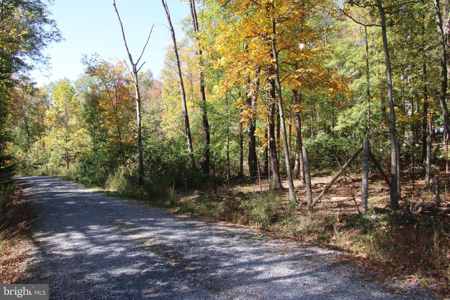 SADLICK LOT I RD, STRASBURG, Virginia 22657, ,Land,For sale,SADLICK LOT I RD,VAWR2009538 MLS # VAWR2009538