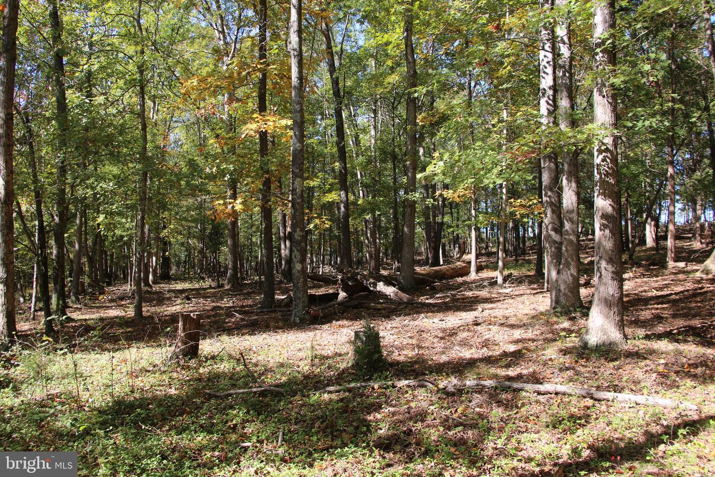 SADLICK LOT I RD, STRASBURG, Virginia 22657, ,Land,For sale,SADLICK LOT I RD,VAWR2009538 MLS # VAWR2009538