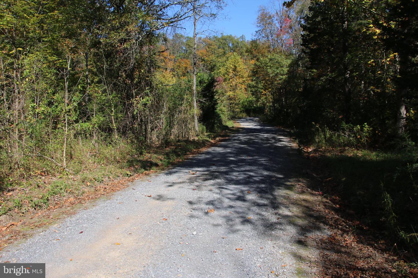 SADLICK LOT I RD, STRASBURG, Virginia 22657, ,Land,For sale,SADLICK LOT I RD,VAWR2009538 MLS # VAWR2009538