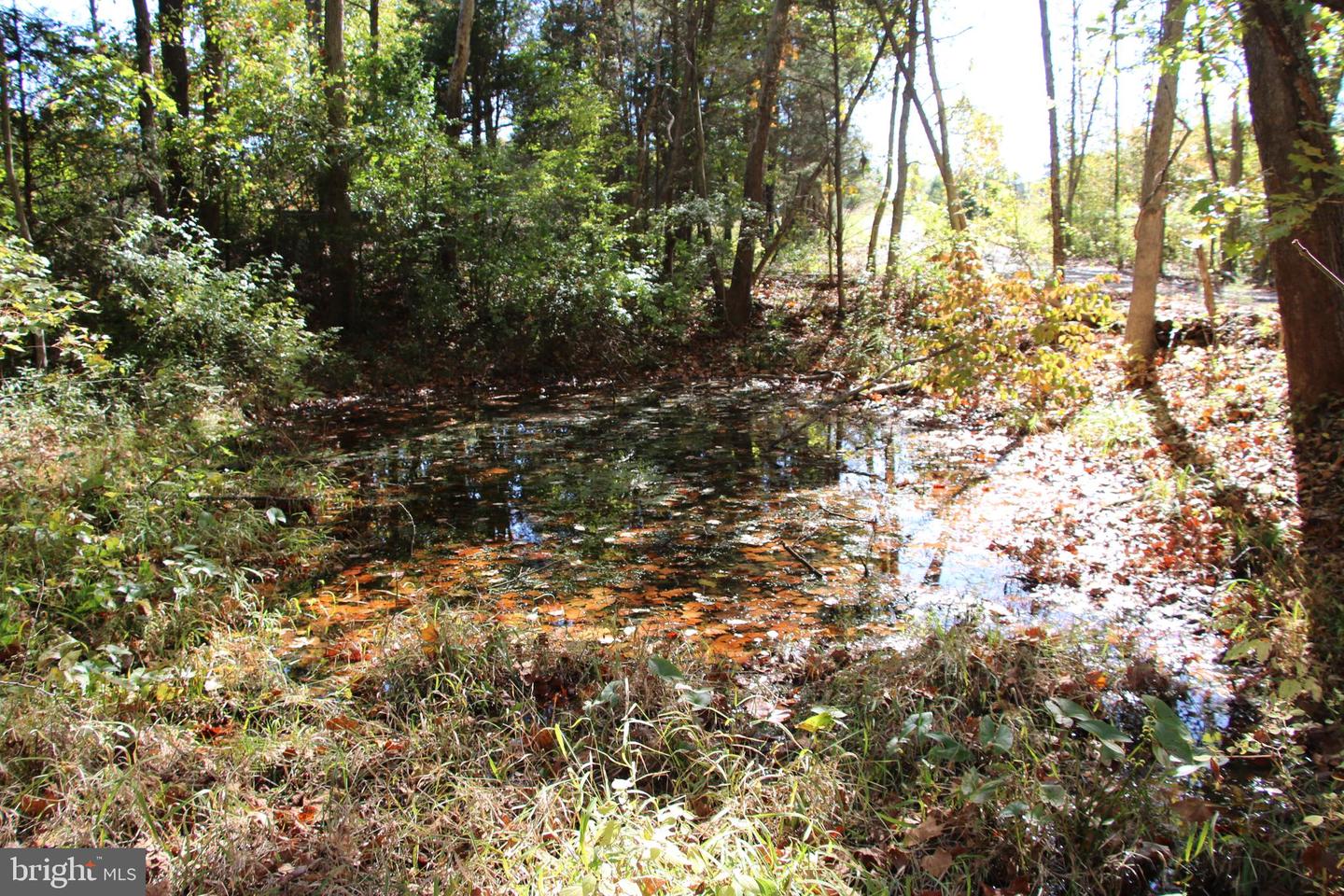 SADLICK LOT I RD, STRASBURG, Virginia 22657, ,Land,For sale,SADLICK LOT I RD,VAWR2009538 MLS # VAWR2009538