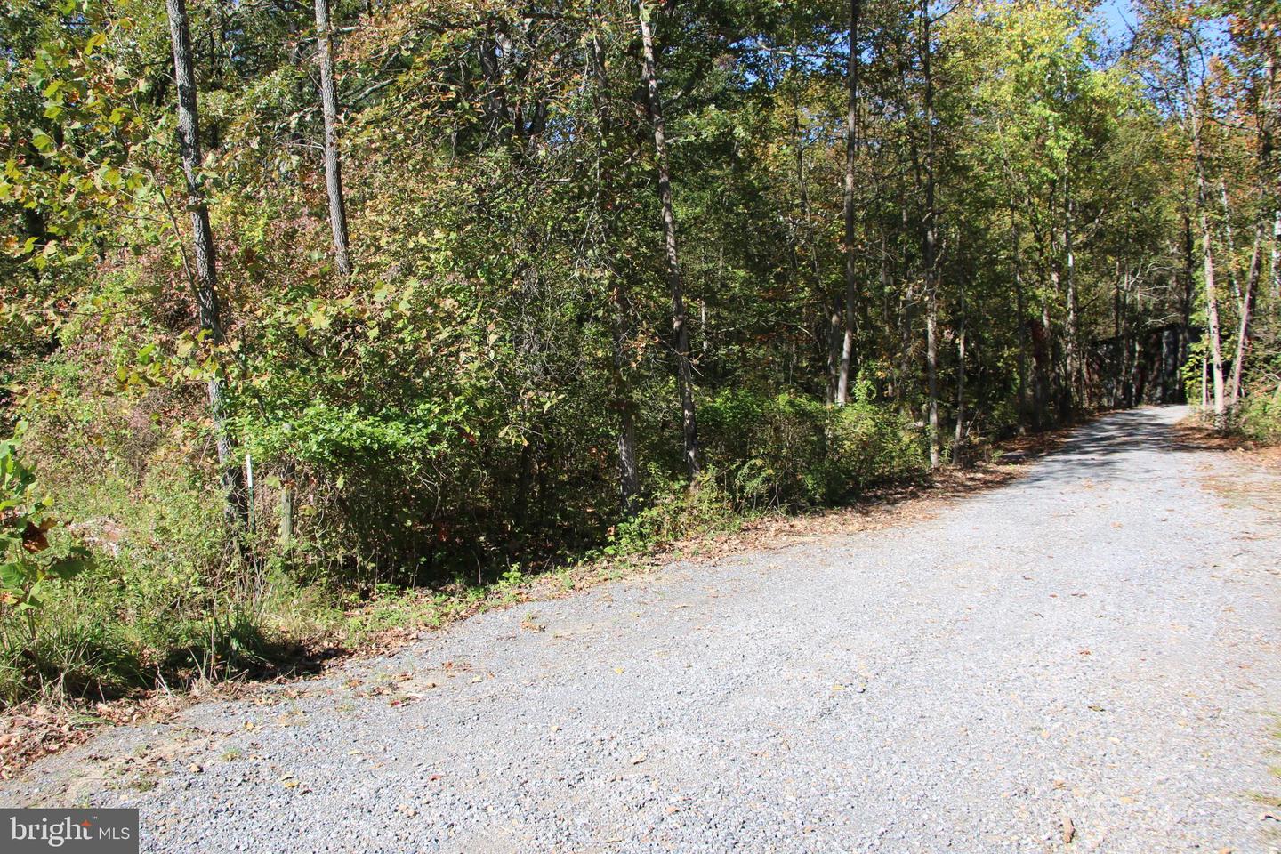 SADLICK LOT I RD, STRASBURG, Virginia 22657, ,Land,For sale,SADLICK LOT I RD,VAWR2009538 MLS # VAWR2009538