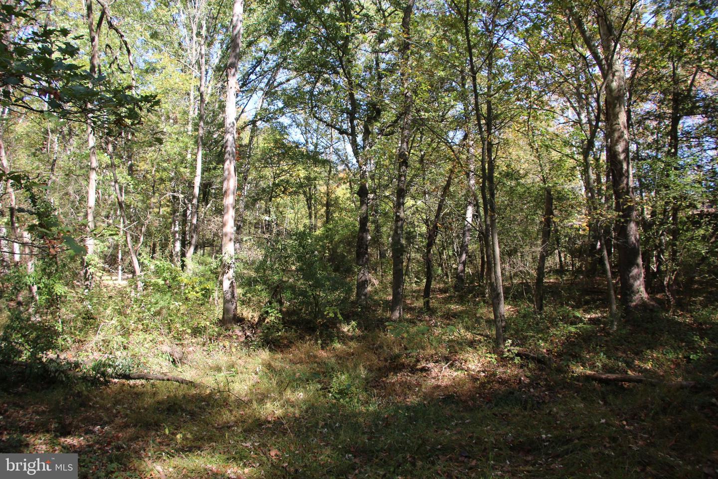 SADLICK LOT I RD, STRASBURG, Virginia 22657, ,Land,For sale,SADLICK LOT I RD,VAWR2009538 MLS # VAWR2009538