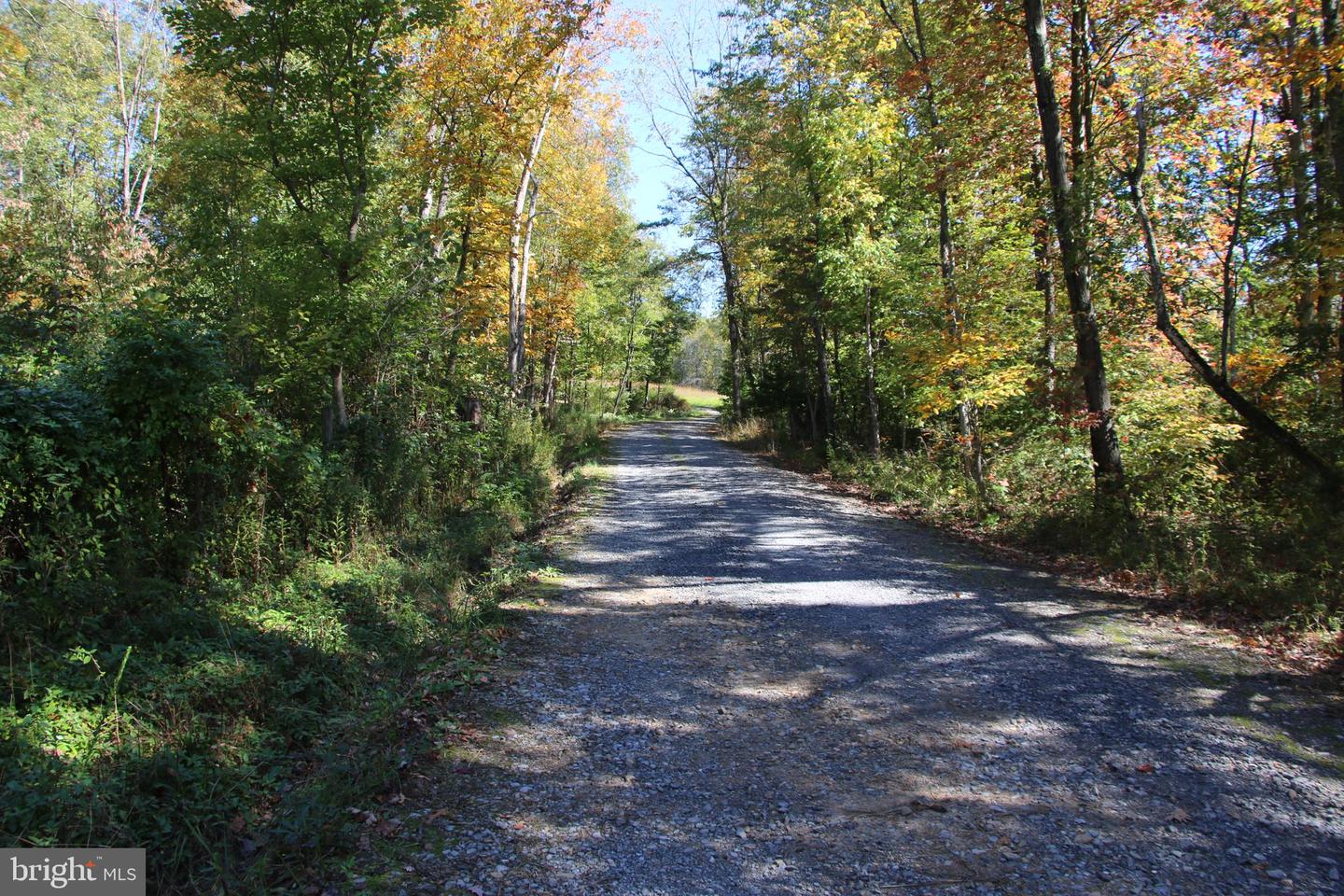 SADLICK LOT I RD, STRASBURG, Virginia 22657, ,Land,For sale,SADLICK LOT I RD,VAWR2009538 MLS # VAWR2009538