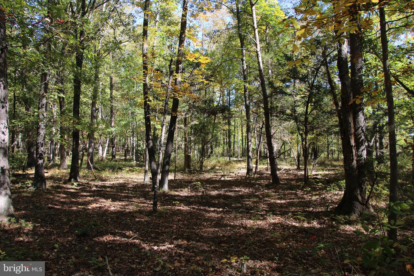 SADLICK LOT I RD, STRASBURG, Virginia 22657, ,Land,For sale,SADLICK LOT I RD,VAWR2009538 MLS # VAWR2009538