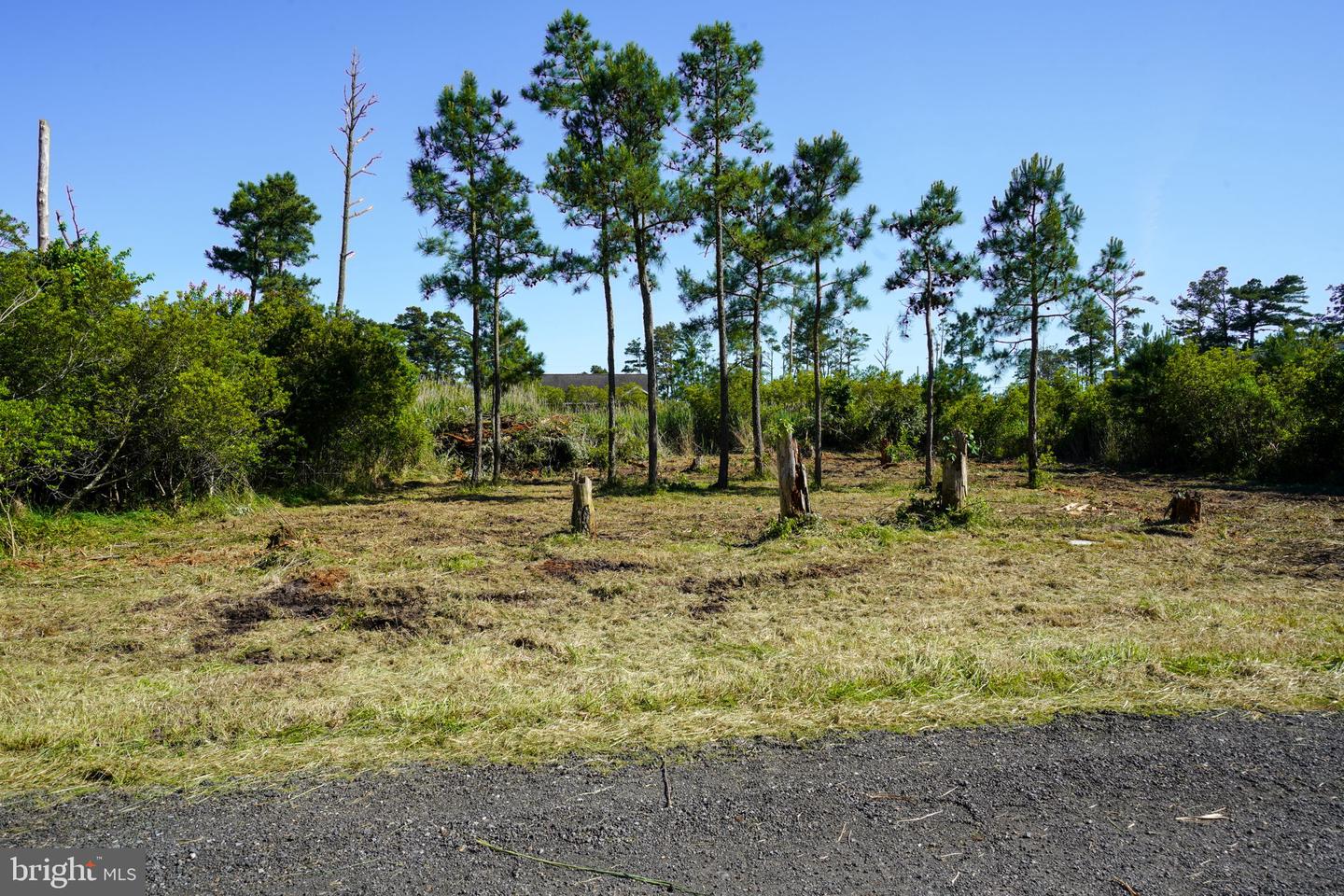 LOT 19E OAK DR, CHINCOTEAGUE ISLAND, Virginia 23336, ,Land,For sale,LOT 19E OAK DR,VAAC2001078 MLS # VAAC2001078