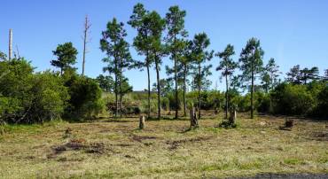 LOT 19E OAK DR, CHINCOTEAGUE ISLAND, Virginia 23336, ,Land,For sale,LOT 19E OAK DR,VAAC2001078 MLS # VAAC2001078