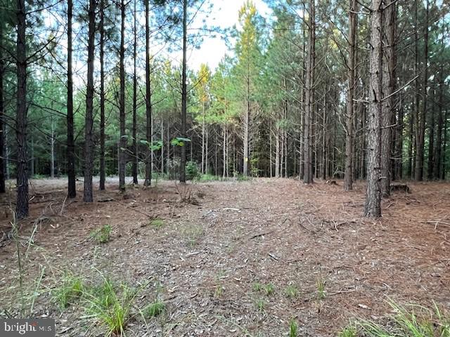 WINNSVILLE DR, BREMO BLUFF, Virginia 23022, ,Land,For sale,WINNSVILLE DR,VAFN2000362 MLS # VAFN2000362