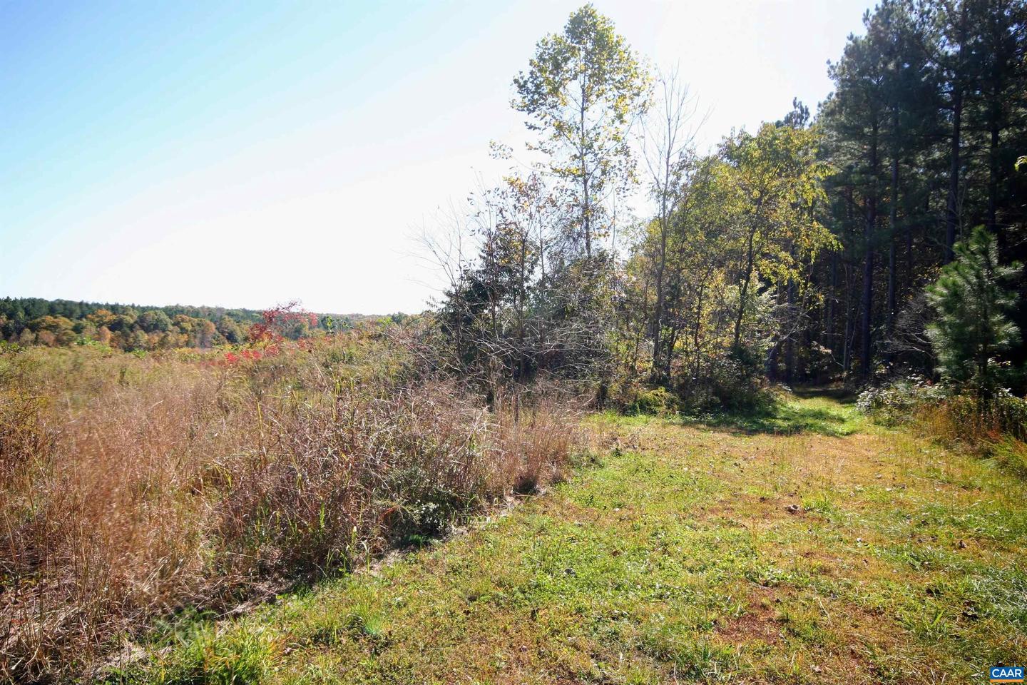 TBA BRIERY CREEK RD, SCOTTSVILLE, Virginia 24590, ,Farm,For sale,TBA BRIERY CREEK RD,658535 MLS # 658535