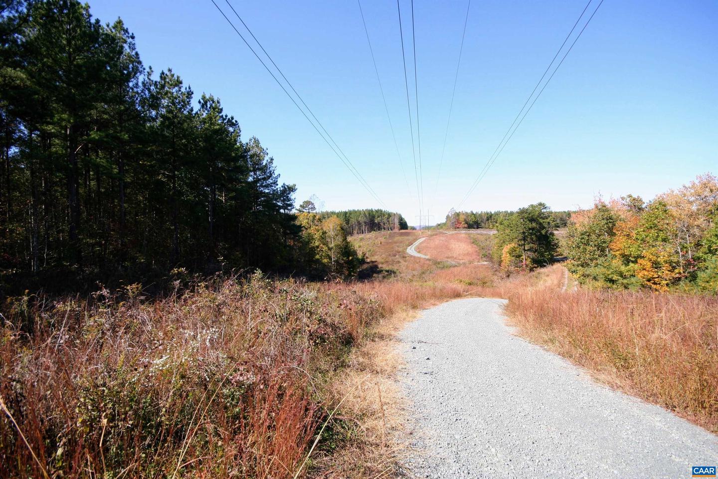 TBA BRIERY CREEK RD, SCOTTSVILLE, Virginia 24590, ,Farm,For sale,TBA BRIERY CREEK RD,658535 MLS # 658535