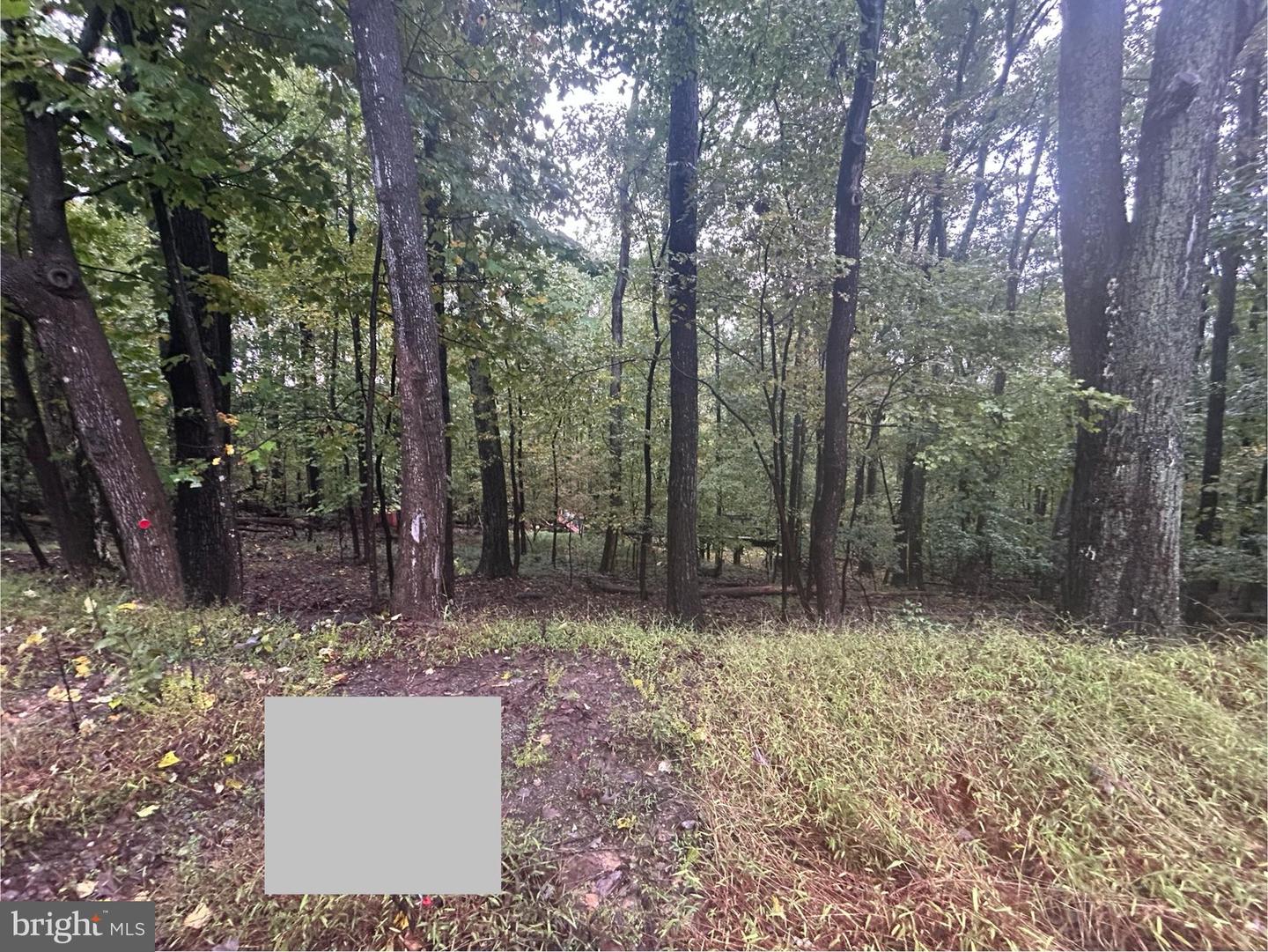 15943 WARBURTON DR, HAYMARKET, Virginia 20169, ,Land,For sale,15943 WARBURTON DR,VAPW2080658 MLS # VAPW2080658