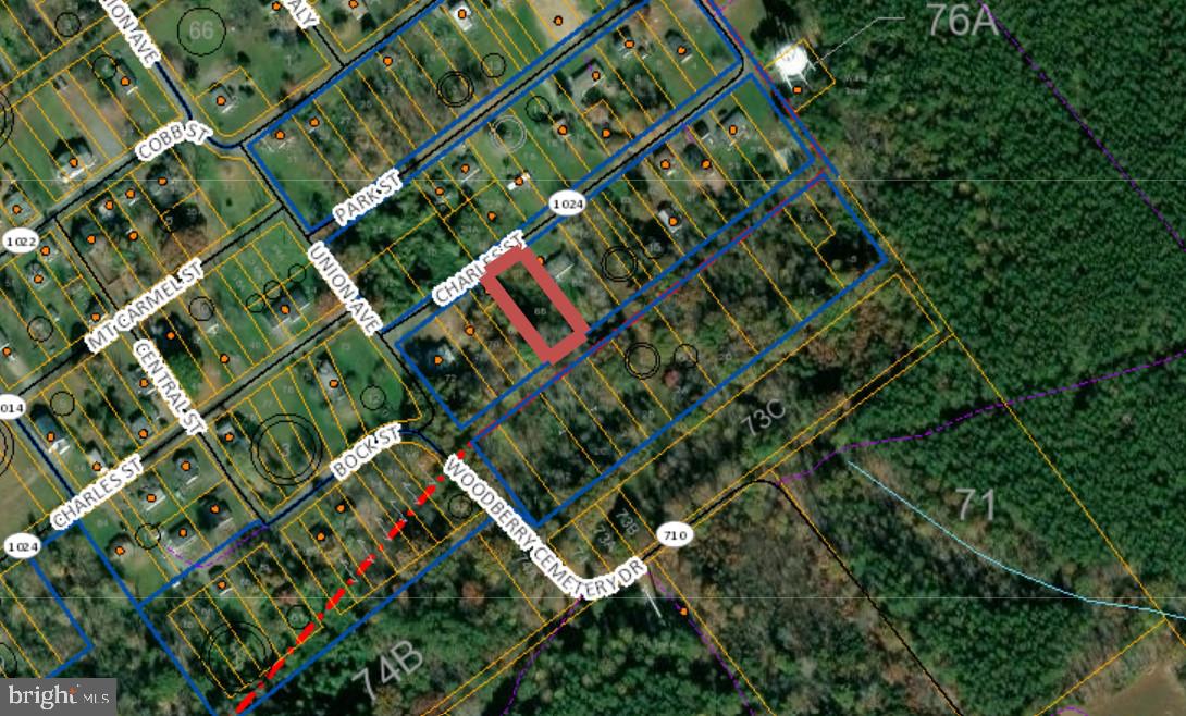 CHARLES ST, GORDONSVILLE, Virginia 22942, ,Land,For sale,CHARLES ST,VAOR2008142 MLS # VAOR2008142