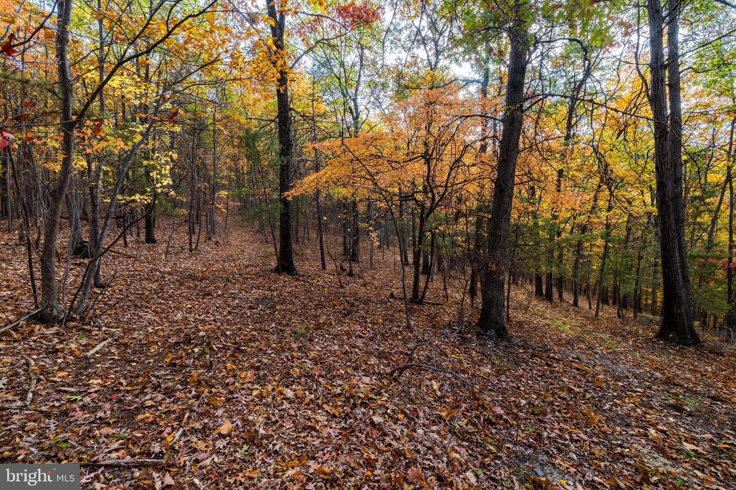 LUCAS HOLLOW RD, STANLEY, Virginia 22851, ,Land,For sale,LUCAS HOLLOW RD,VAPA2003002 MLS # VAPA2003002