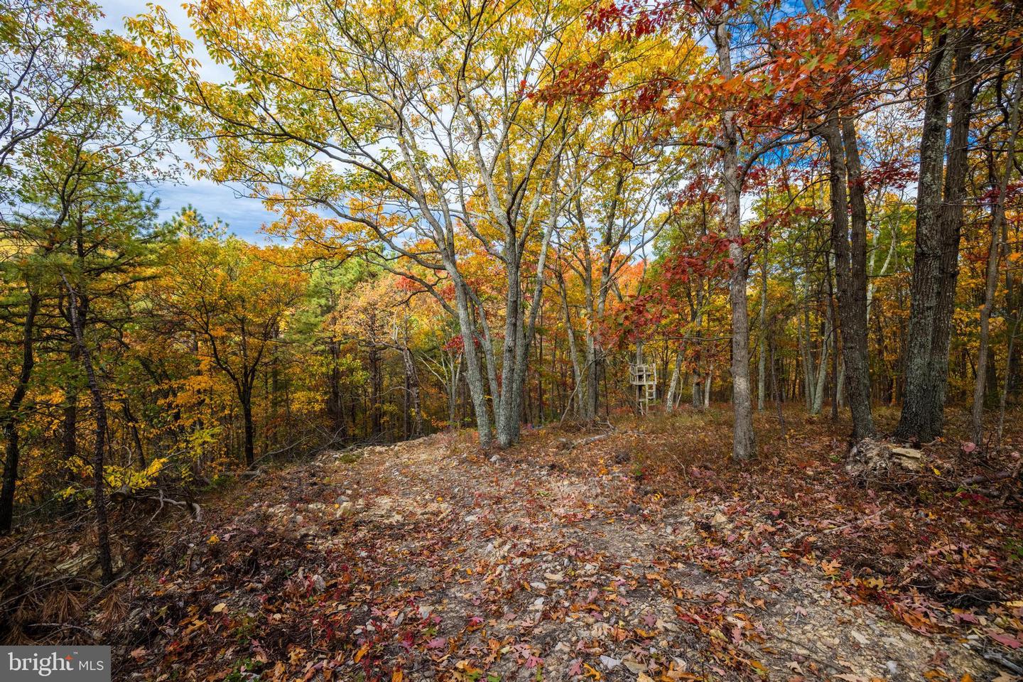 LUCAS HOLLOW RD, STANLEY, Virginia 22851, ,Land,For sale,LUCAS HOLLOW RD,VAPA2003002 MLS # VAPA2003002