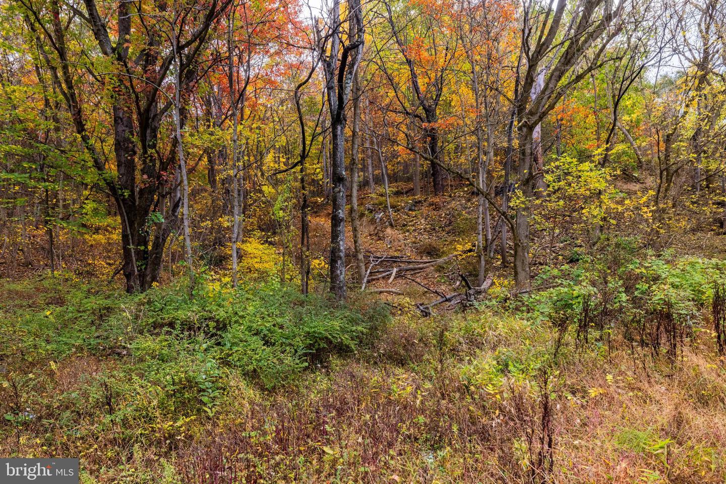 LUCAS HOLLOW RD, STANLEY, Virginia 22851, ,Land,For sale,LUCAS HOLLOW RD,VAPA2003002 MLS # VAPA2003002