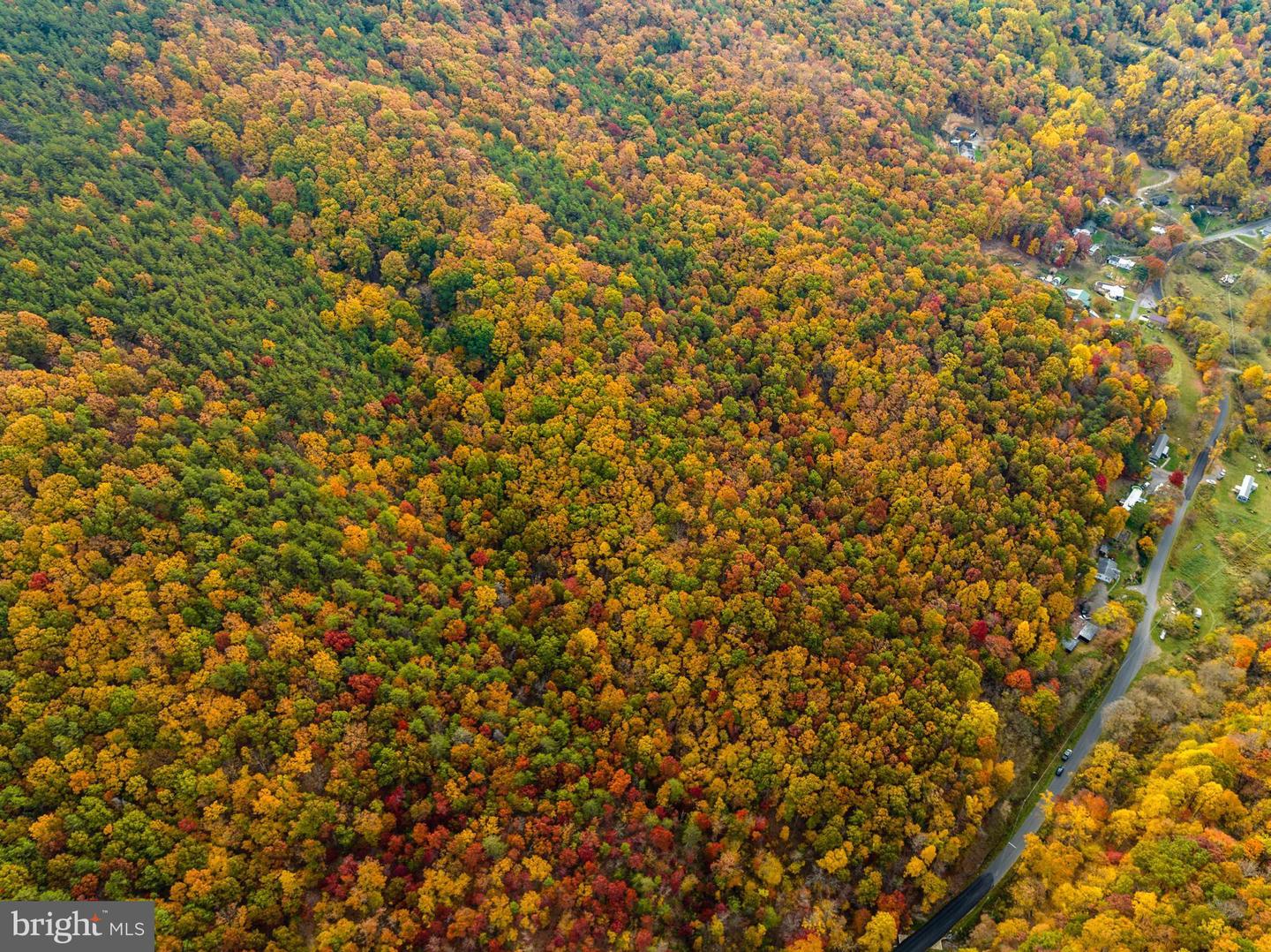 LUCAS HOLLOW RD, STANLEY, Virginia 22851, ,Land,For sale,LUCAS HOLLOW RD,VAPA2003002 MLS # VAPA2003002