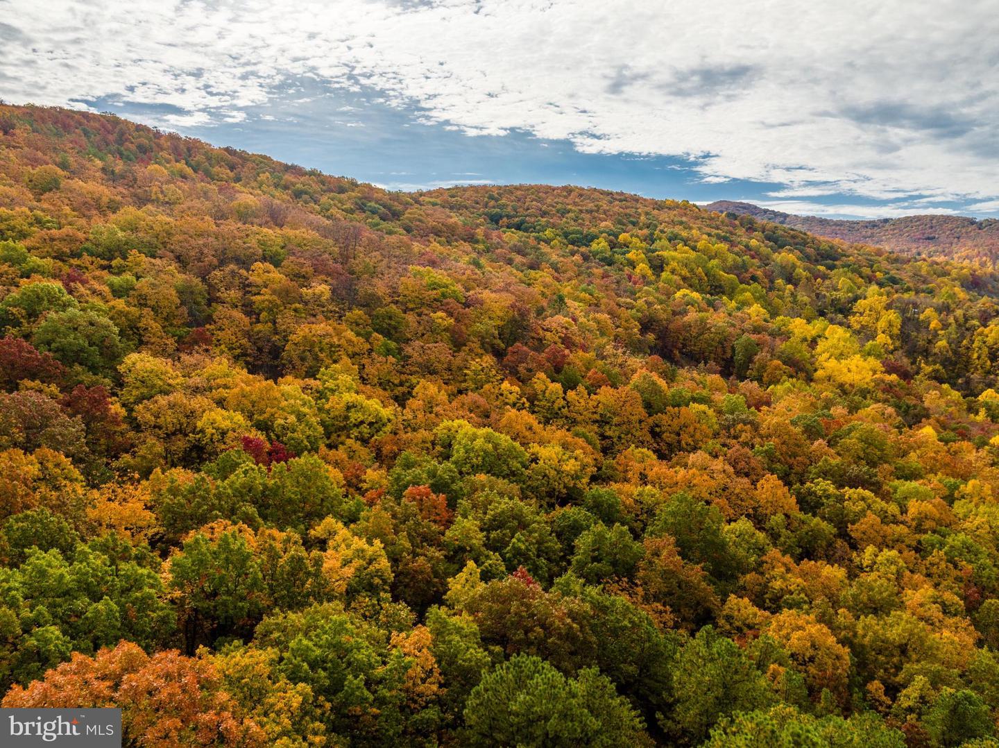 LUCAS HOLLOW RD, STANLEY, Virginia 22851, ,Land,For sale,LUCAS HOLLOW RD,VAPA2003002 MLS # VAPA2003002