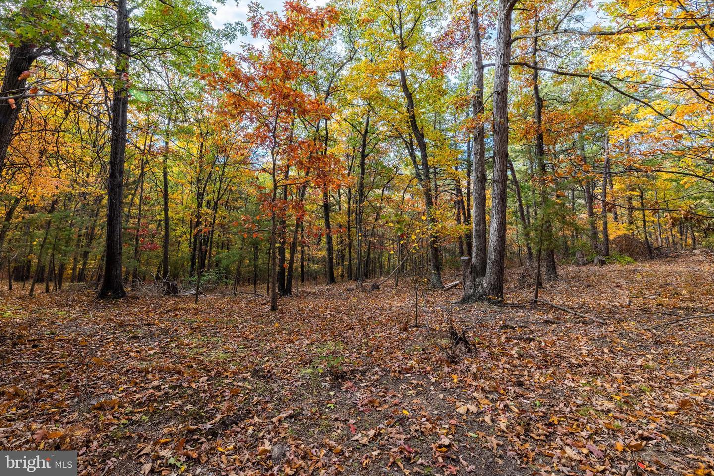 LUCAS HOLLOW RD, STANLEY, Virginia 22851, ,Land,For sale,LUCAS HOLLOW RD,VAPA2003002 MLS # VAPA2003002