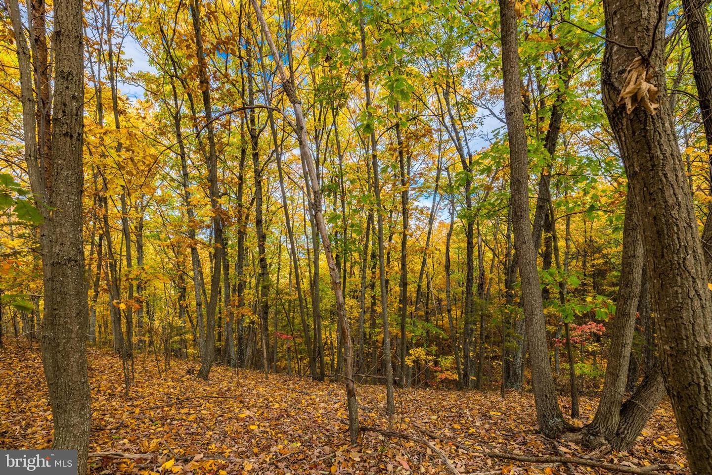 LUCAS HOLLOW RD, STANLEY, Virginia 22851, ,Land,For sale,LUCAS HOLLOW RD,VAPA2003002 MLS # VAPA2003002