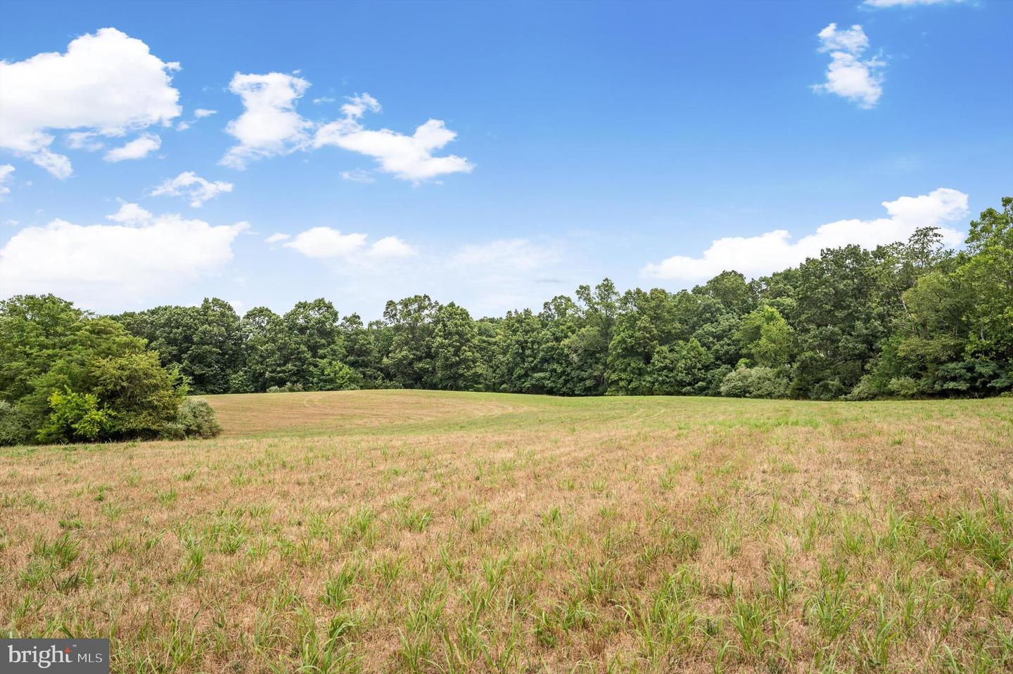 CARPERS VALLEY, BOYCE, Virginia 22620, ,Farm,For sale,CARPERS VALLEY,VACL2002880 MLS # VACL2002880