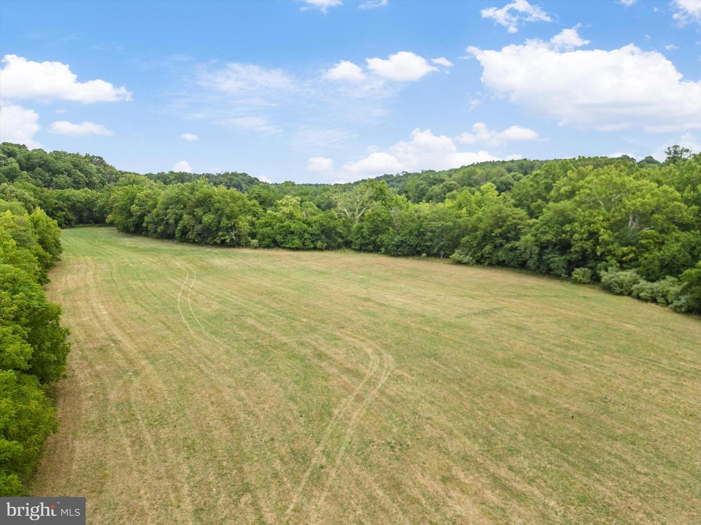 CARPERS VALLEY, BOYCE, Virginia 22620, ,Farm,For sale,CARPERS VALLEY,VACL2002880 MLS # VACL2002880