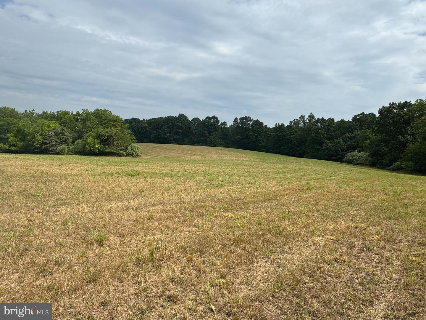 CARPERS VALLEY, BOYCE, Virginia 22620, ,Farm,For sale,CARPERS VALLEY,VACL2002880 MLS # VACL2002880