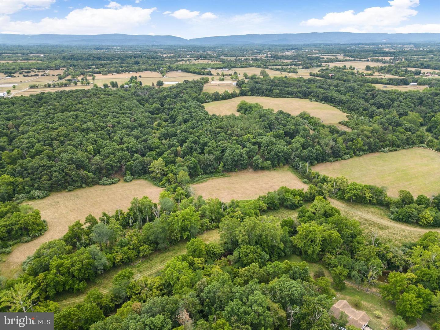 CARPERS VALLEY, BOYCE, Virginia 22620, ,Farm,For sale,CARPERS VALLEY,VACL2002880 MLS # VACL2002880