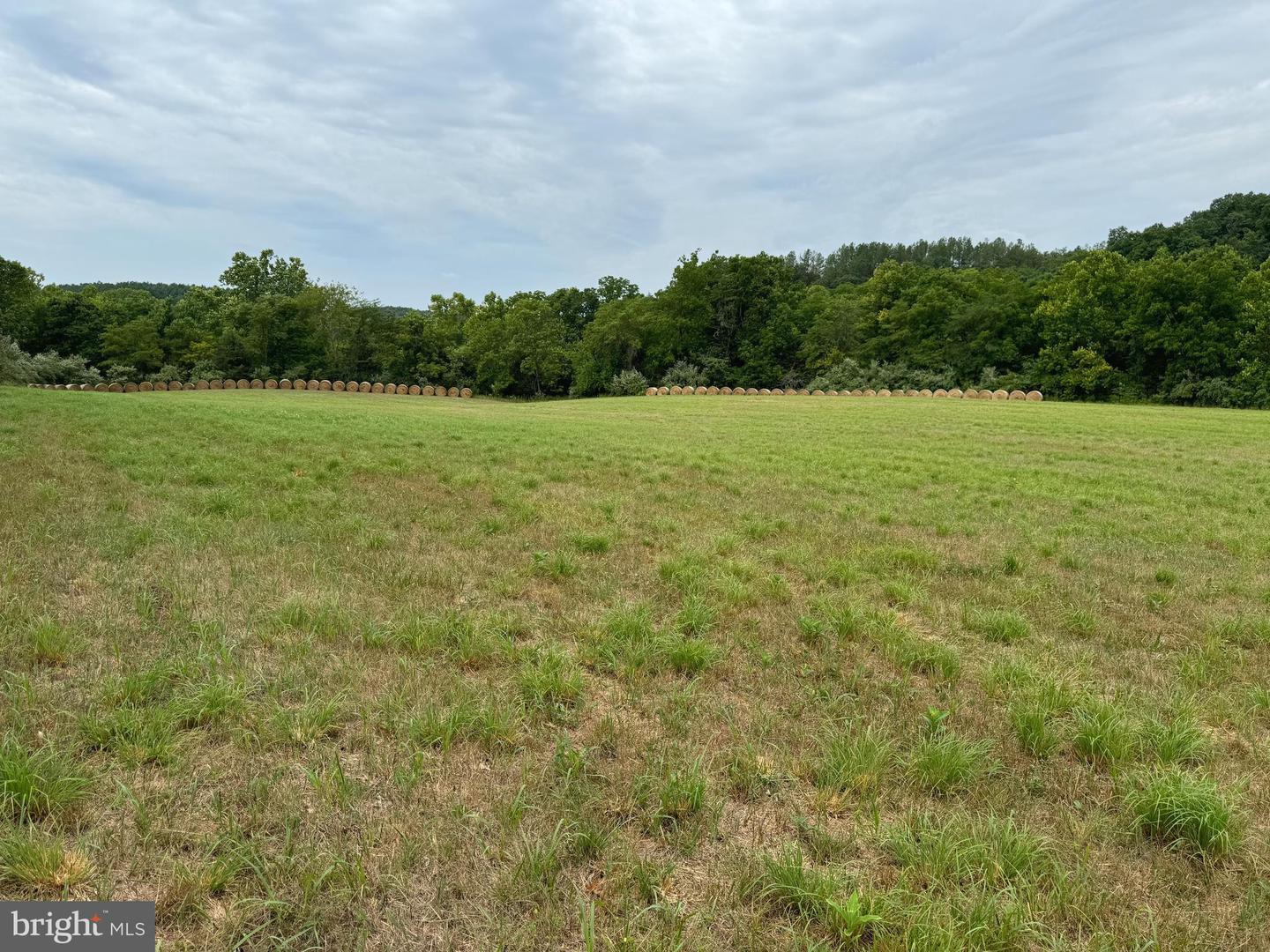 CARPERS VALLEY, BOYCE, Virginia 22620, ,Farm,For sale,CARPERS VALLEY,VACL2002880 MLS # VACL2002880