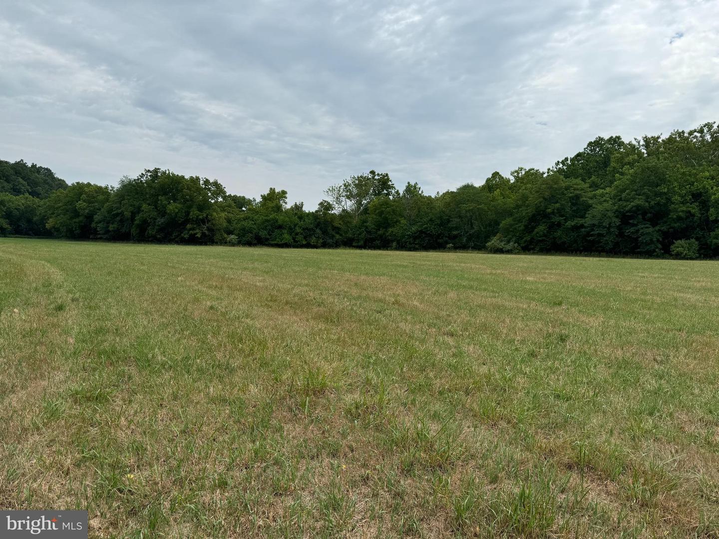 CARPERS VALLEY, BOYCE, Virginia 22620, ,Farm,For sale,CARPERS VALLEY,VACL2002880 MLS # VACL2002880