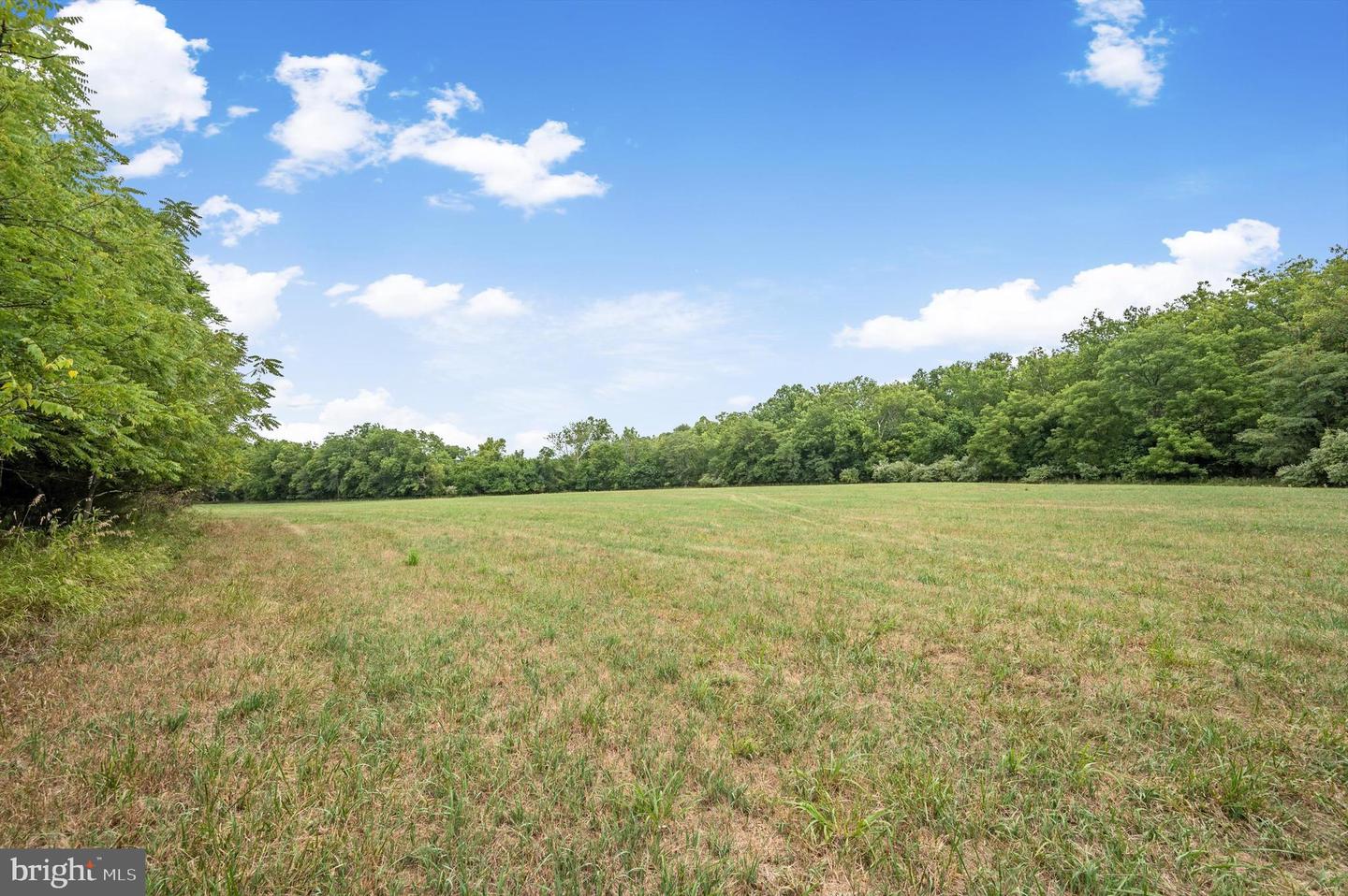 CARPERS VALLEY, BOYCE, Virginia 22620, ,Farm,For sale,CARPERS VALLEY,VACL2002880 MLS # VACL2002880